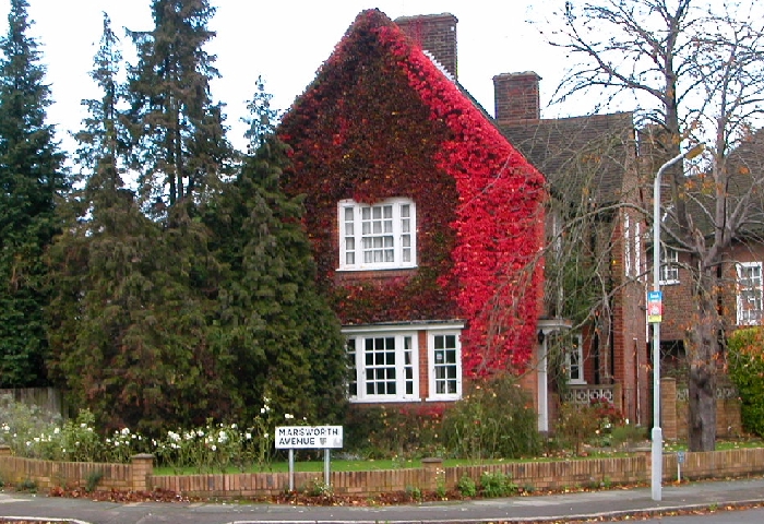 Marsworth Avenue from Woodhall Gate