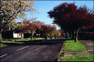 Albury Drive