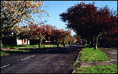 Albury Drive