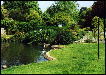 Tne Memorial Gardens