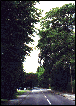 Paines Lane